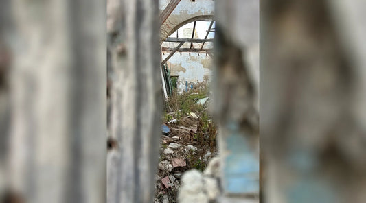 Creativity Fuelled by Lived Experience