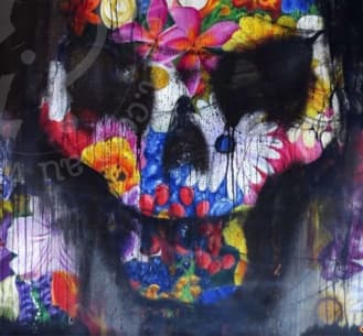 Colorful skull with floral patterns on a dark background