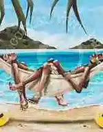 Two people lying on a hammock by a tropical beach with palm trees.