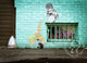 Artistic graffiti depicting a cat on a wall, blending urban aesthetics with playful imagery.
