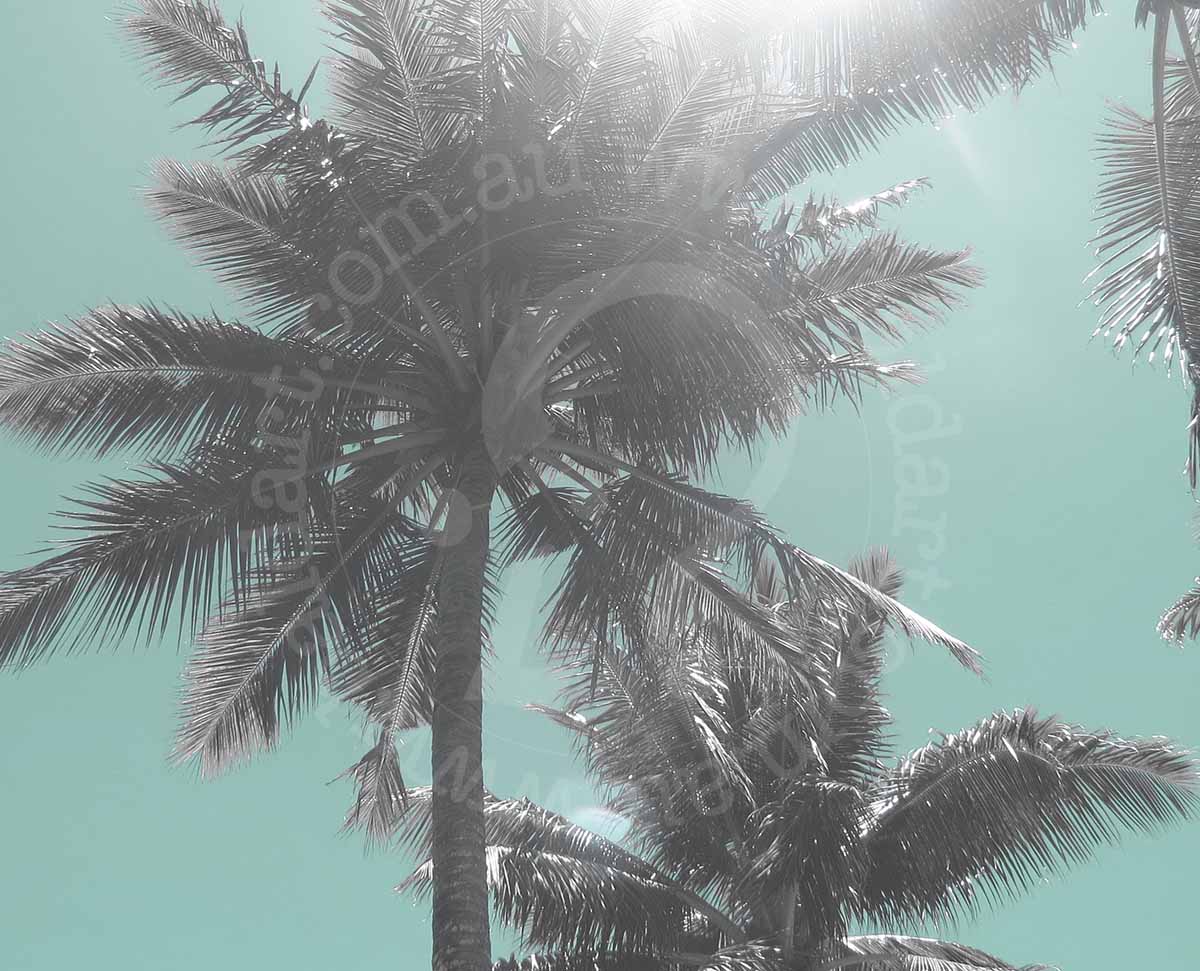 palm tree print artwork wall art by andy baker of bald art