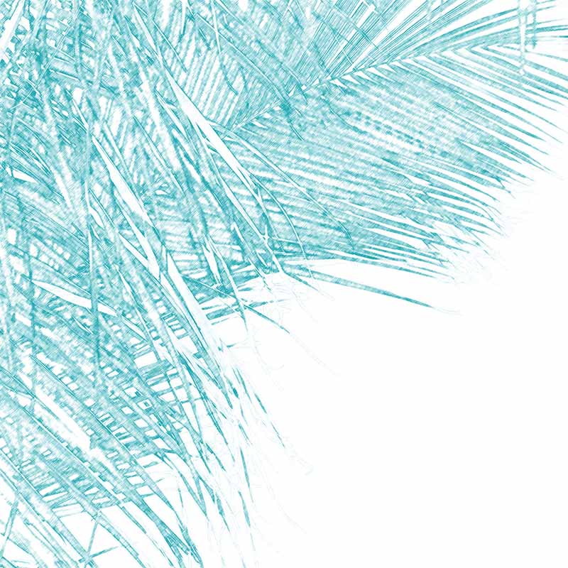 contemporary palm tree print artwork by andy baker of bald art